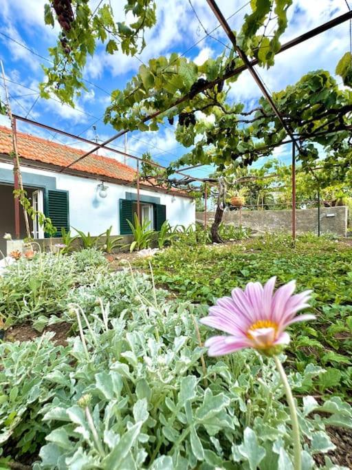 Casa Juliana
